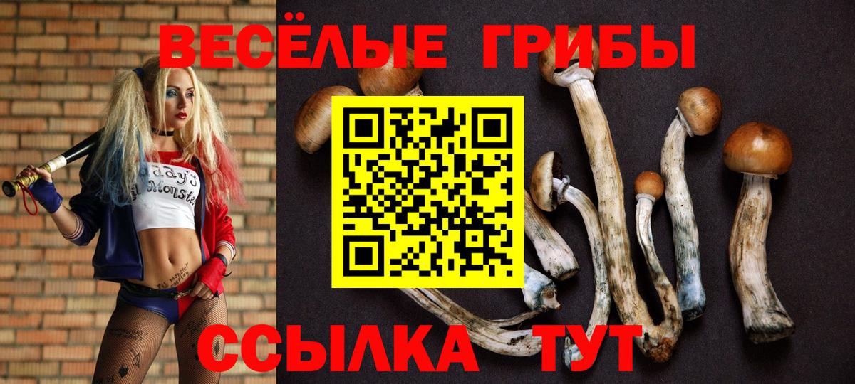 Великий Новгород  Галлюциногенные грибы Psilocybe  Галлюциногенные грибы ЛСД  Вход с VPN 